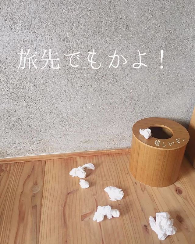 Знайомо кожному: японка підкорює Instagram завдяки неохайному коханому - фото 367776