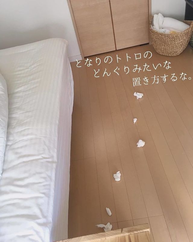 Знайомо кожному: японка підкорює Instagram завдяки неохайному коханому - фото 367780