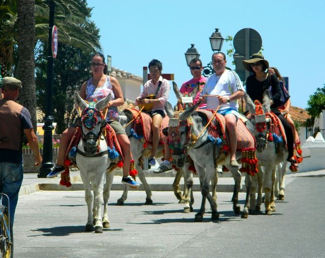На популярному курорті введуть заборону для товстих туристів - фото 367834