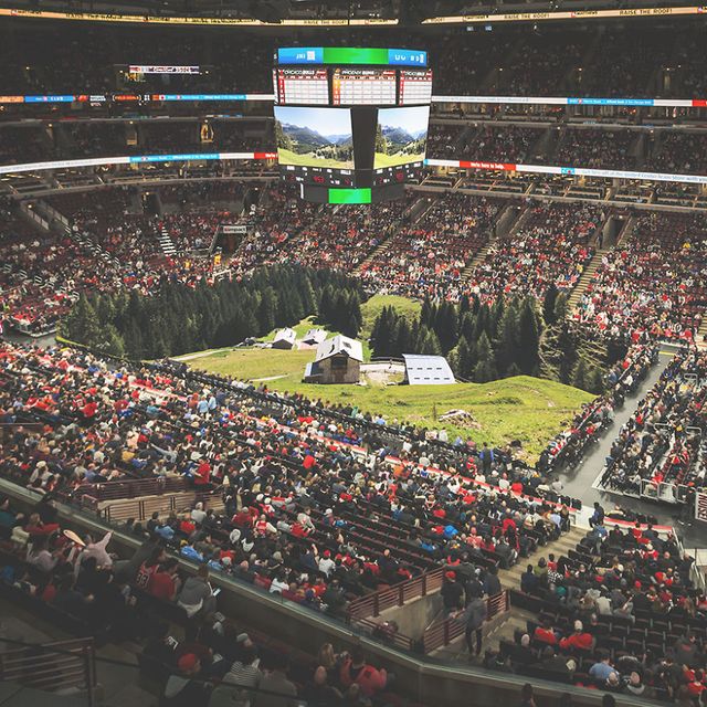 Якби природа поглинула сучасні міста: вражаючі фото - фото 367897