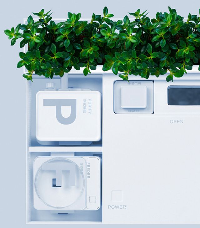 Xiaomi випустила 'розумний' акваріум для рибок - фото 367898