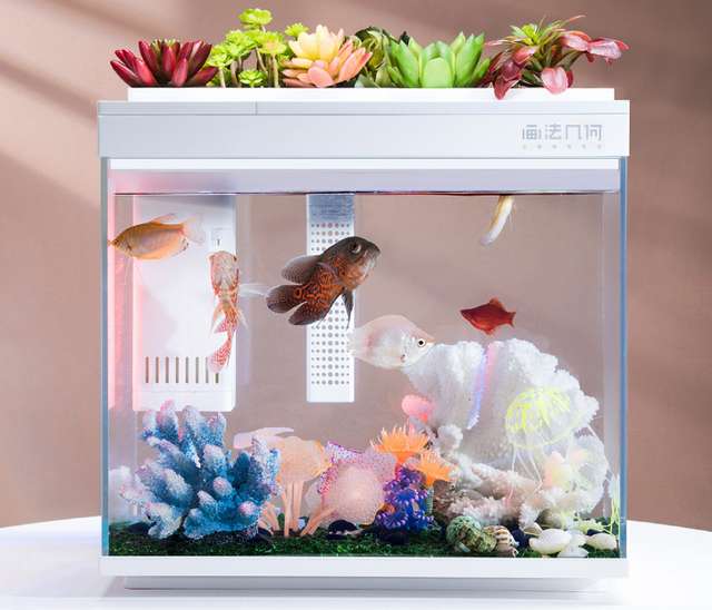 Xiaomi випустила 'розумний' акваріум для рибок - фото 367899