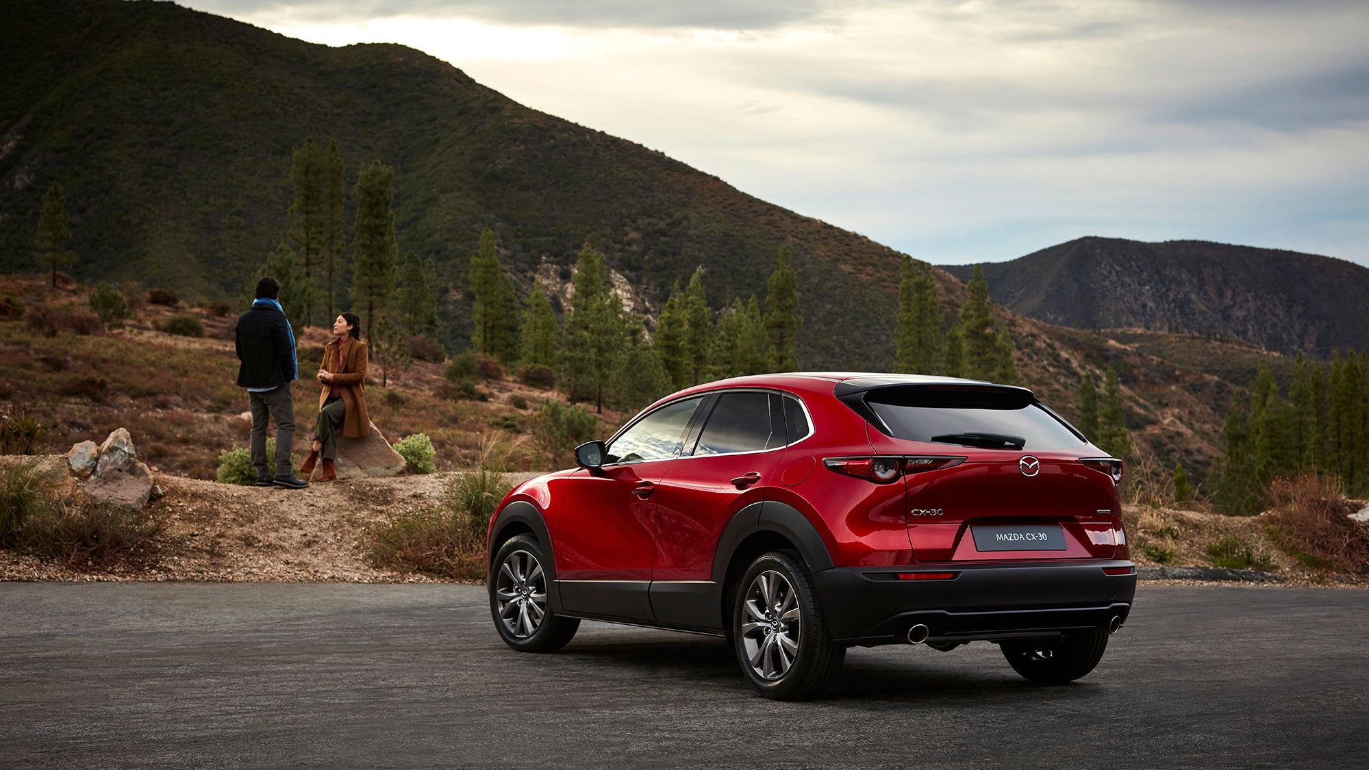 Цей кросовер визнали найбезпечнішим у світі