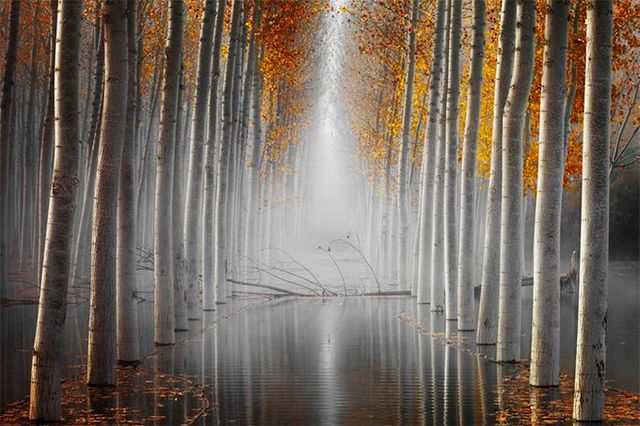 Кадри, що заворожують: названо найкращі фото природи цього року - фото 368319