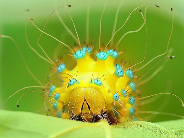 Кадри, що заворожують: названо найкращі фото природи цього року - фото 368320