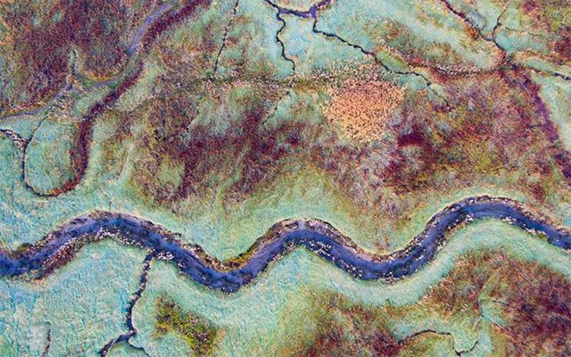 Кадри, що заворожують: названо найкращі фото природи цього року - фото 368330