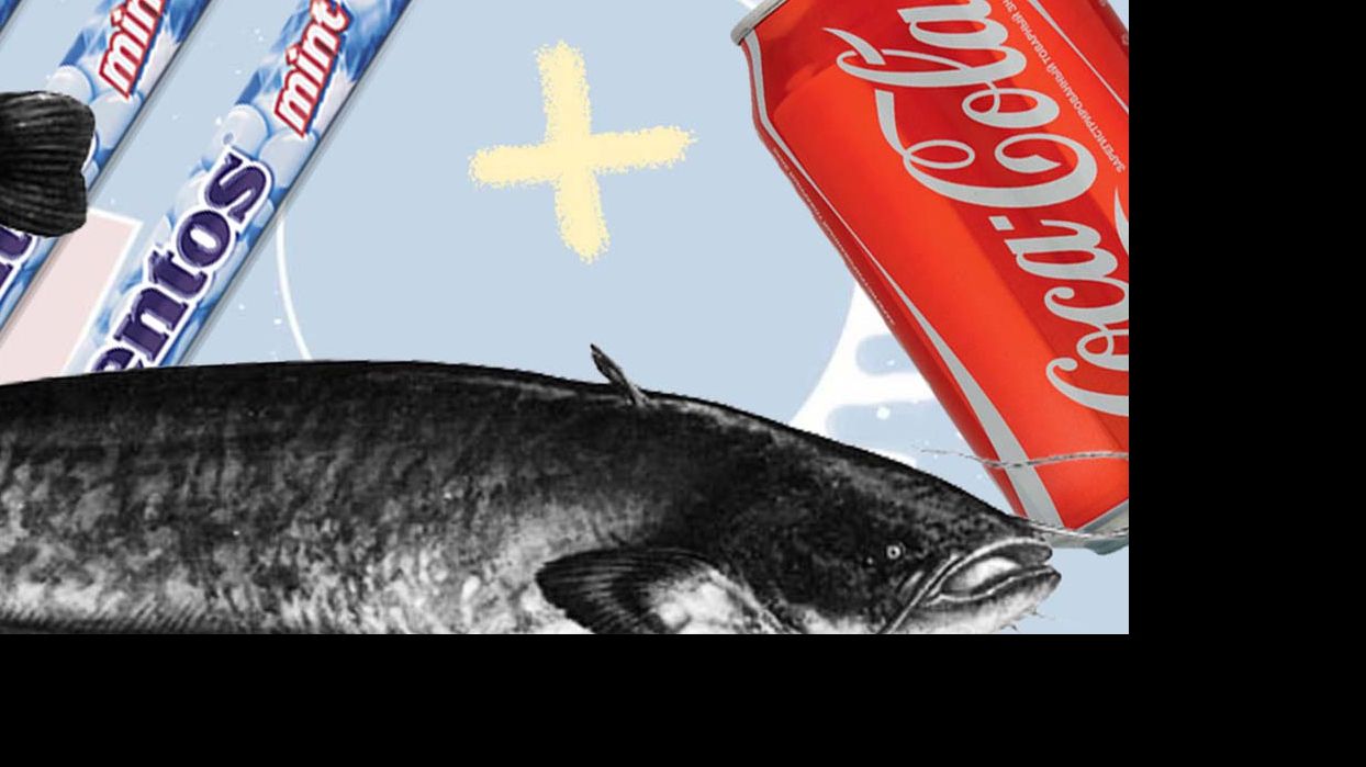 Що це було? Рибалка зловив сома на яйце і кока-колу