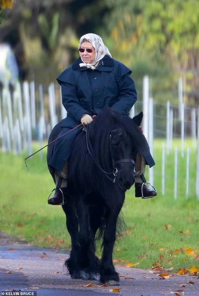 Я на коні: 93-річна королева Єлизавета II покаталась верхи - фото 368402