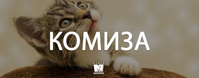 Говори красиво! 7 колоритних слів в українській мові, яких ви не знали - фото 368410