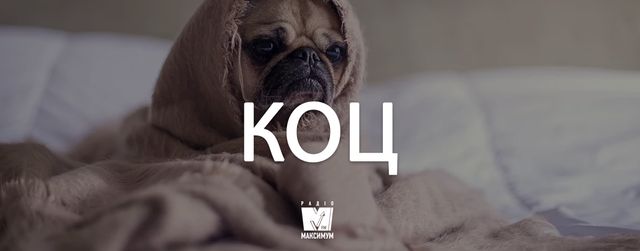 Говори красиво! 7 колоритних слів в українській мові, яких ви не знали - фото 368416