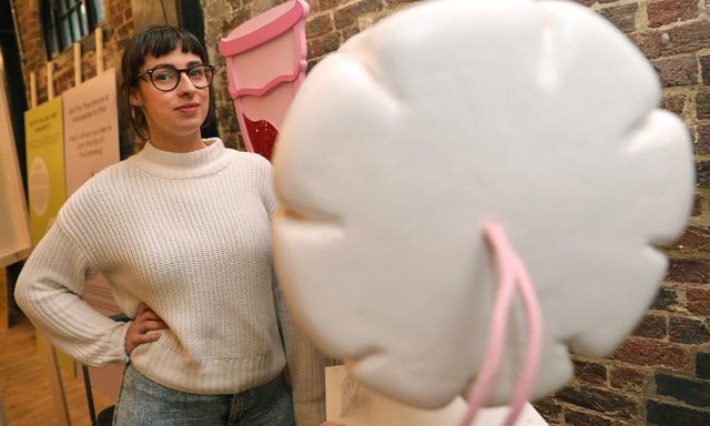 Перший у світі музей вагіни відкрили в Лондоні (18+) - фото 368530