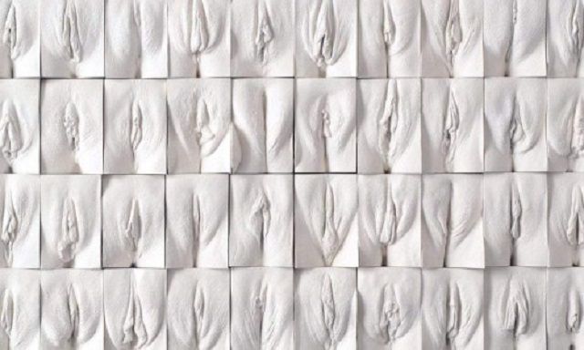 Перший у світі музей вагіни відкрили в Лондоні (18+) - фото 368531