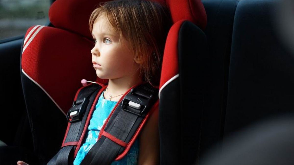 На українських водіїв чекають серйозні штрафи: Зеленський підписав закон