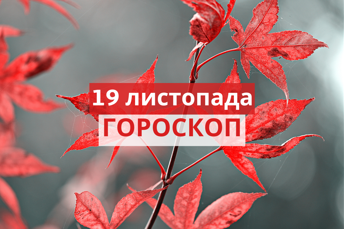 Гороскоп на 19 листопада 2019: прогноз для всіх знаків Зодіаку