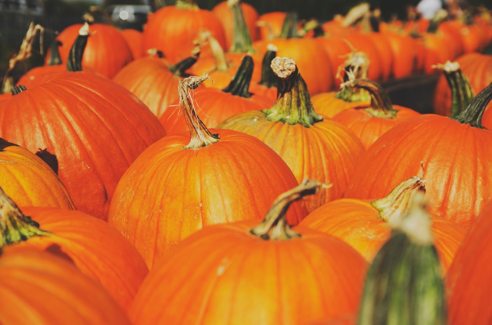 Погода в Україні 20 листопада: похолодання та штормовий вітер