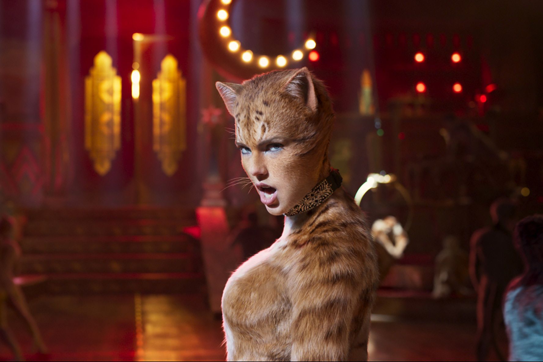 Кішки 2019, трейлер - фото 1