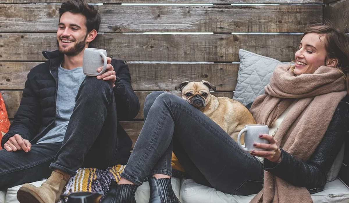 Вирахуйте вік свого собаки - фото 1