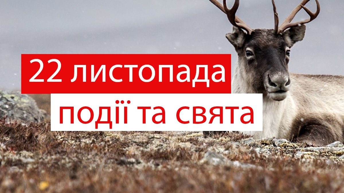 22 листопада 2019 – яке сьогодні свято: традиції, заборони і прикмети