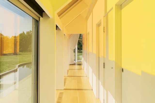 Американці створили незвичайний дім-кокон: яскраві фото - фото 369614