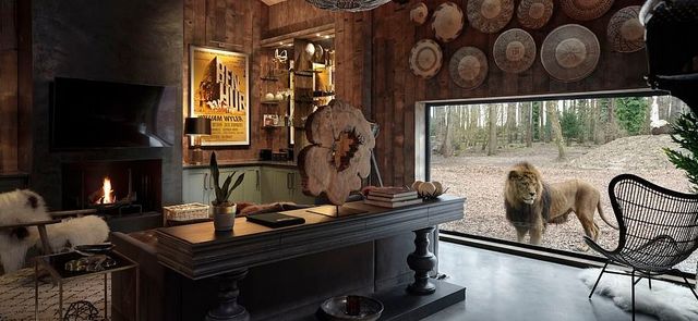 Під наглядом диких звірів: у Великобританії відкрили незвичайний готель - фото 369991