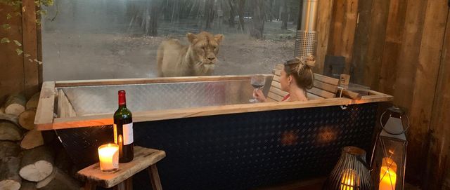 Під наглядом диких звірів: у Великобританії відкрили незвичайний готель - фото 369992