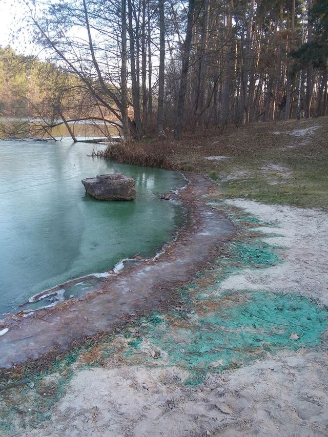 Біля Києва позеленіло озеро: вражаючі фото - фото 370495
