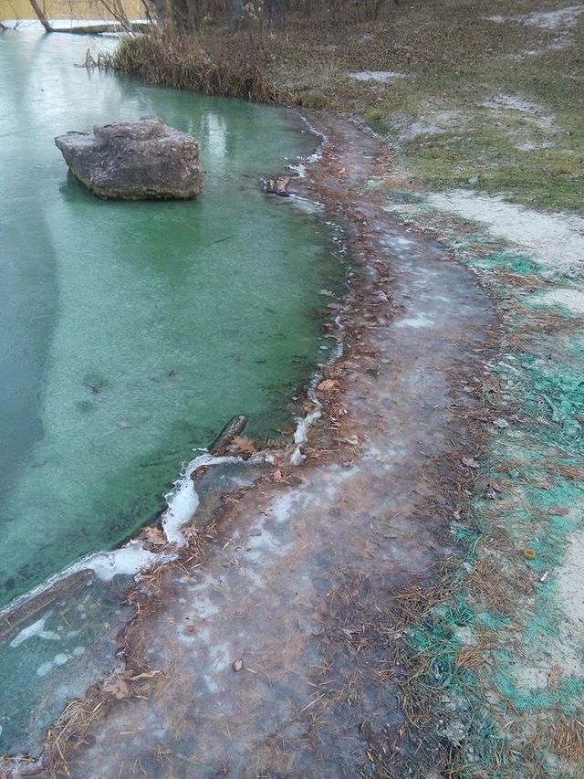 Біля Києва позеленіло озеро: вражаючі фото - фото 370496
