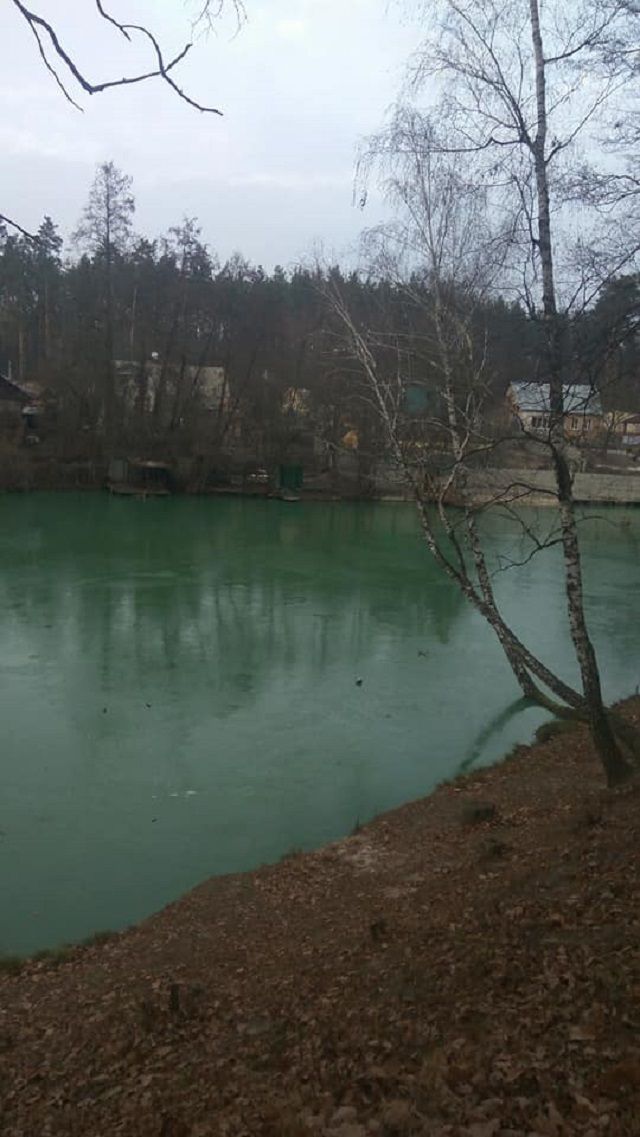 Біля Києва позеленіло озеро: вражаючі фото - фото 370500