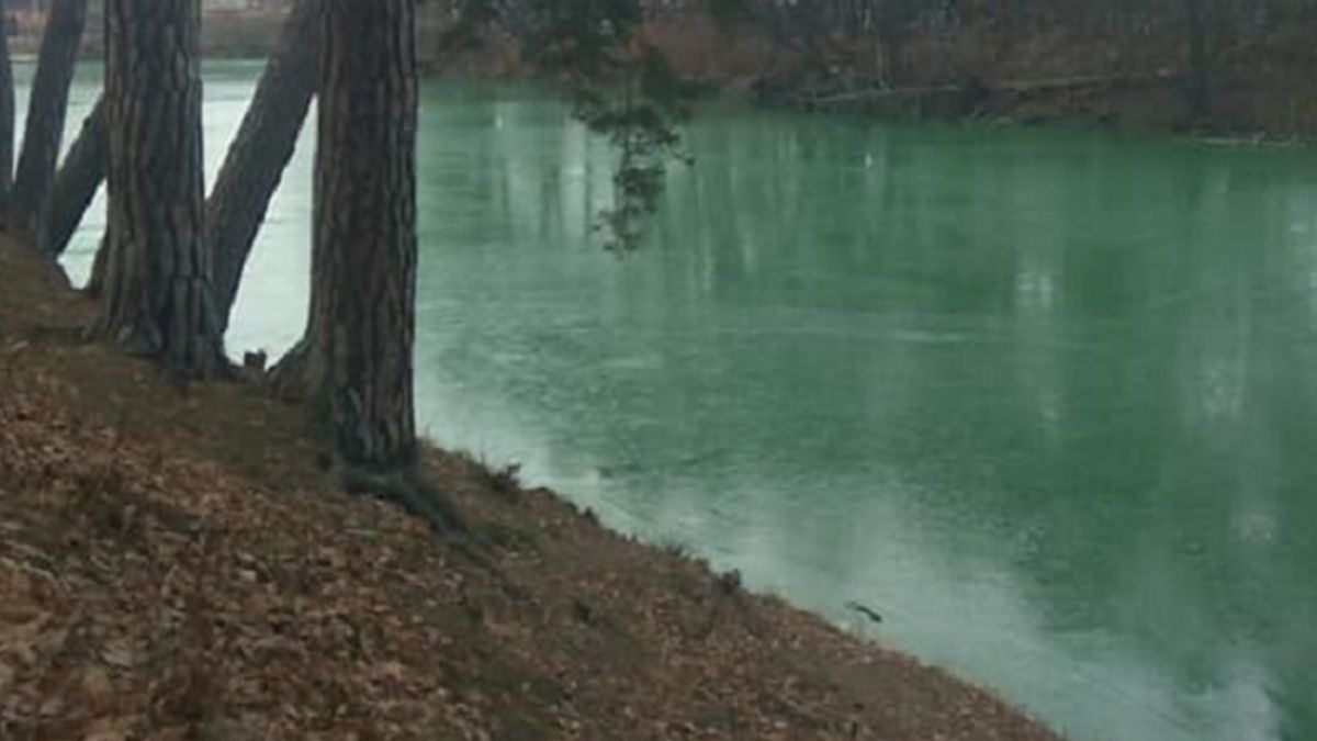 Біля Києва позеленіло озеро: вражаючі фото - фото 1