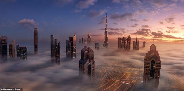 Названо найкращі панорамні фото 2019 року - фото 370509