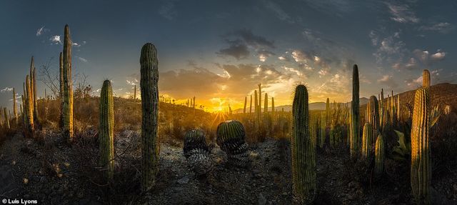 Названо найкращі панорамні фото 2019 року - фото 370519
