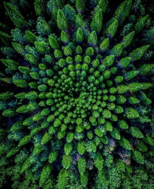 Якщо вас усе дістало, просто подивіться ці заспокійливі фото – і вам покращає! - фото 370564