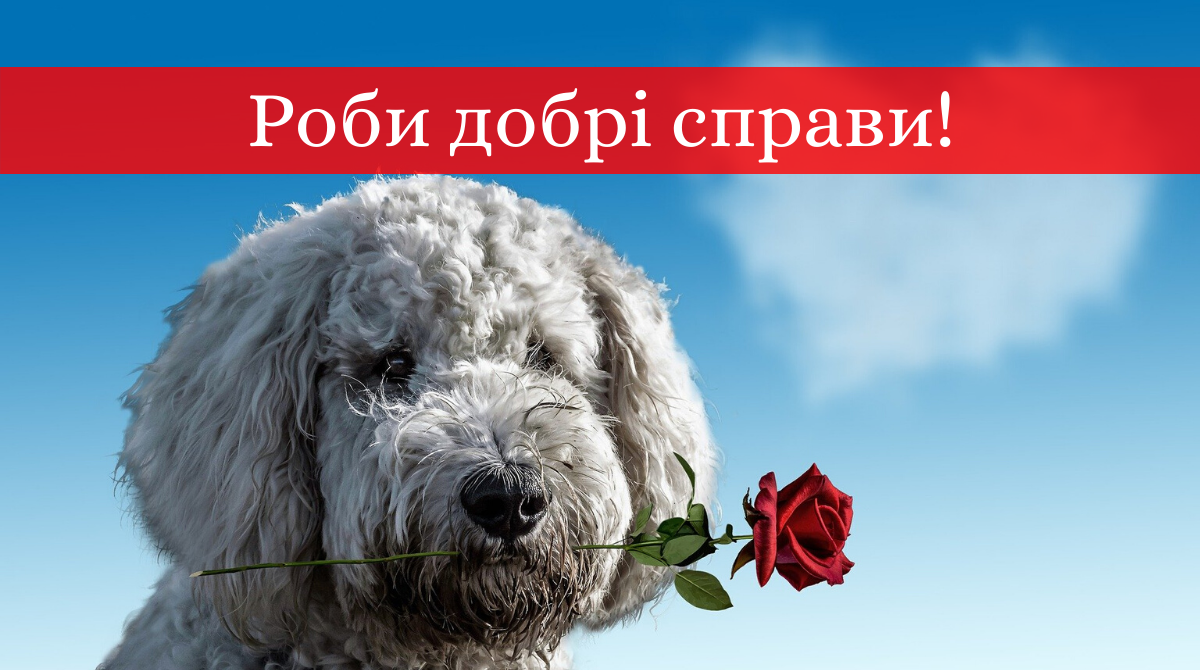 Щедрий вівторок: 7 добрих справ, які ви  можете зробити просто зараз