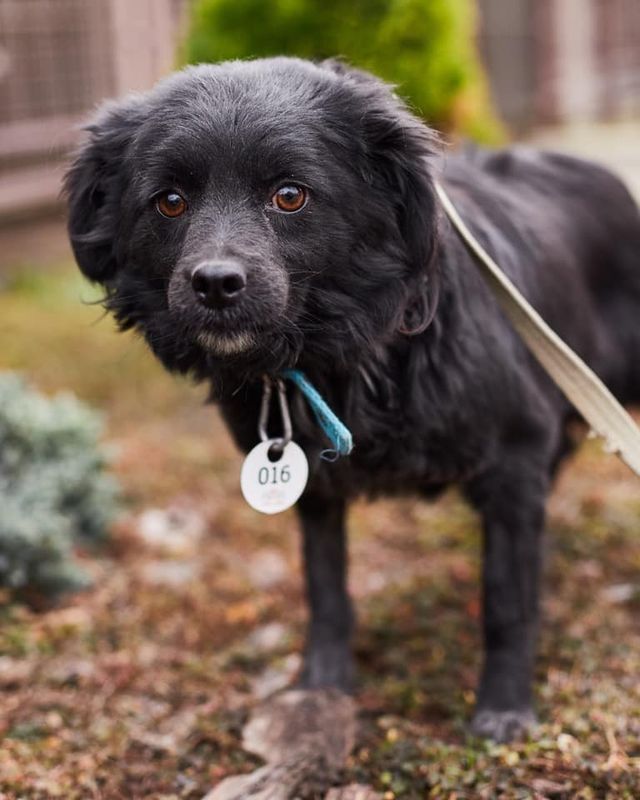 Щедрий вівторок: 7 добрих справ, які виможете зробити просто зараз - фото 370665
