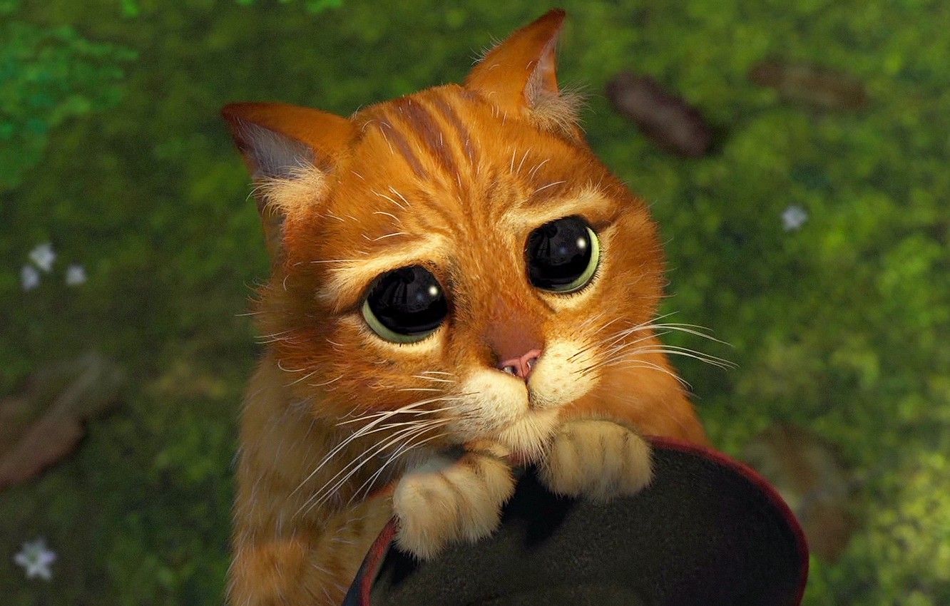 Перестаньте за все вибачатися - фото 1