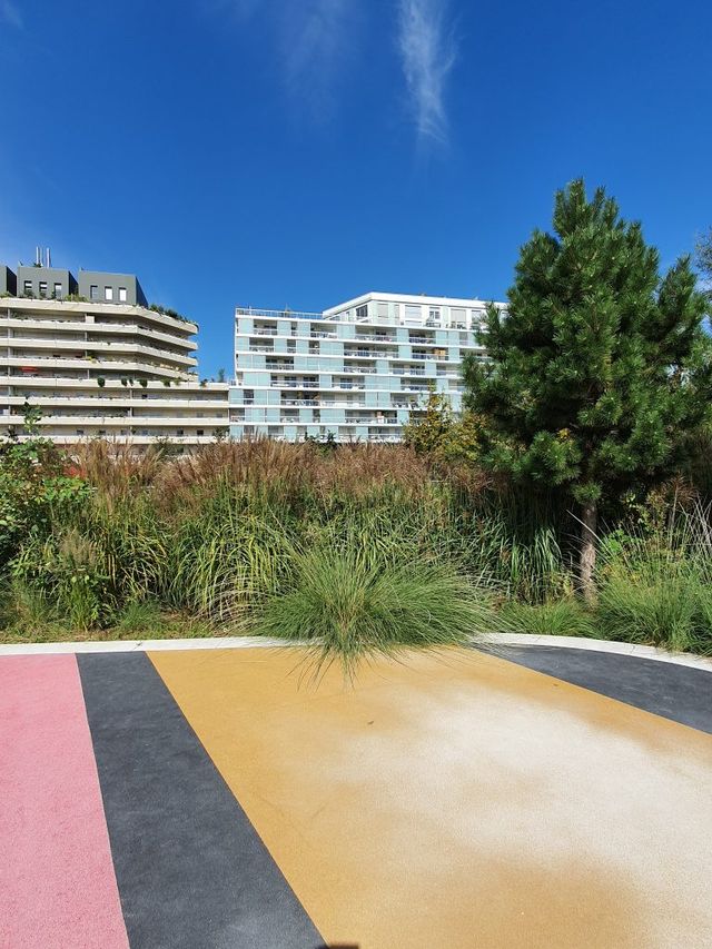 DxOMark назвав найкращі камерофони 2019 року - фото 371000