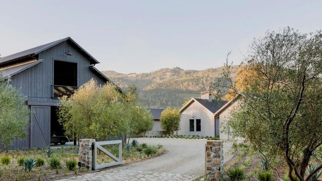 Як виглядає ідеальний дім для літніх людей у Каліфорнії: яскраві фото - фото 371156