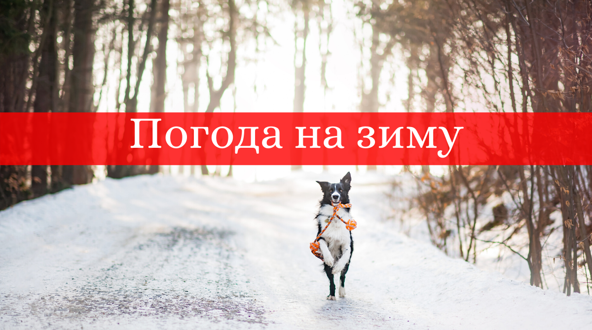 яка буде погода взимку 2020 - фото 1