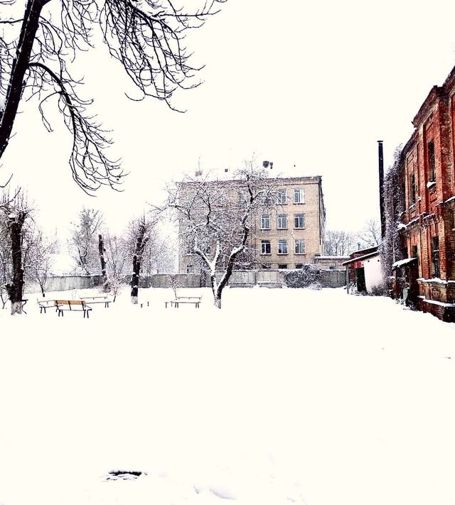 Перший сніг в Україні: добірка найкращих фото з Instagram - фото 371820