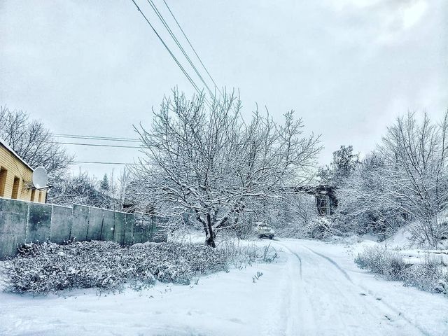 Перший сніг в Україні: добірка найкращих фото з Instagram - фото 371822