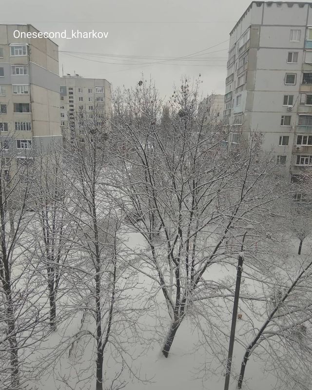 Перший сніг в Україні: добірка найкращих фото з Instagram - фото 371824