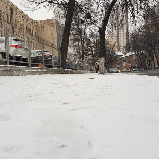 Перший сніг в Україні: добірка найкращих фото з Instagram - фото 371825