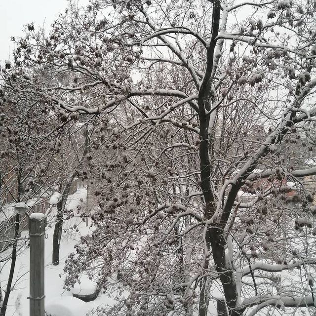 Перший сніг в Україні: добірка найкращих фото з Instagram - фото 371826