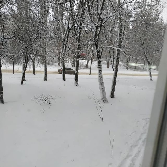 Перший сніг в Україні: добірка найкращих фото з Instagram - фото 371827