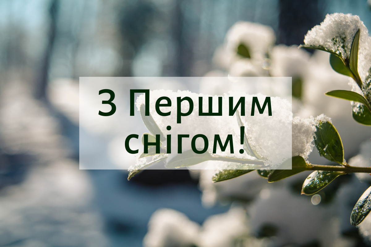 Привітання з першим снігом - фото 1