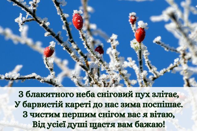 З першим снігом! Вітальні картинки, листівки і фото з початком зими - фото 371851