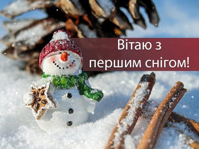 З першим снігом! Вітальні картинки, листівки і фото з початком зими - фото 371854