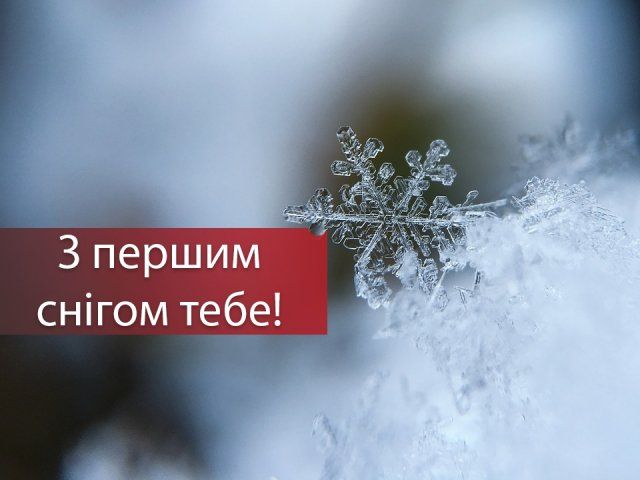 З першим снігом! Вітальні картинки, листівки і фото з початком зими - фото 371857