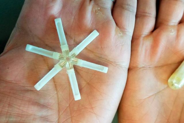 Капсула нагадує зірочку, яка розкривається - фото 372421