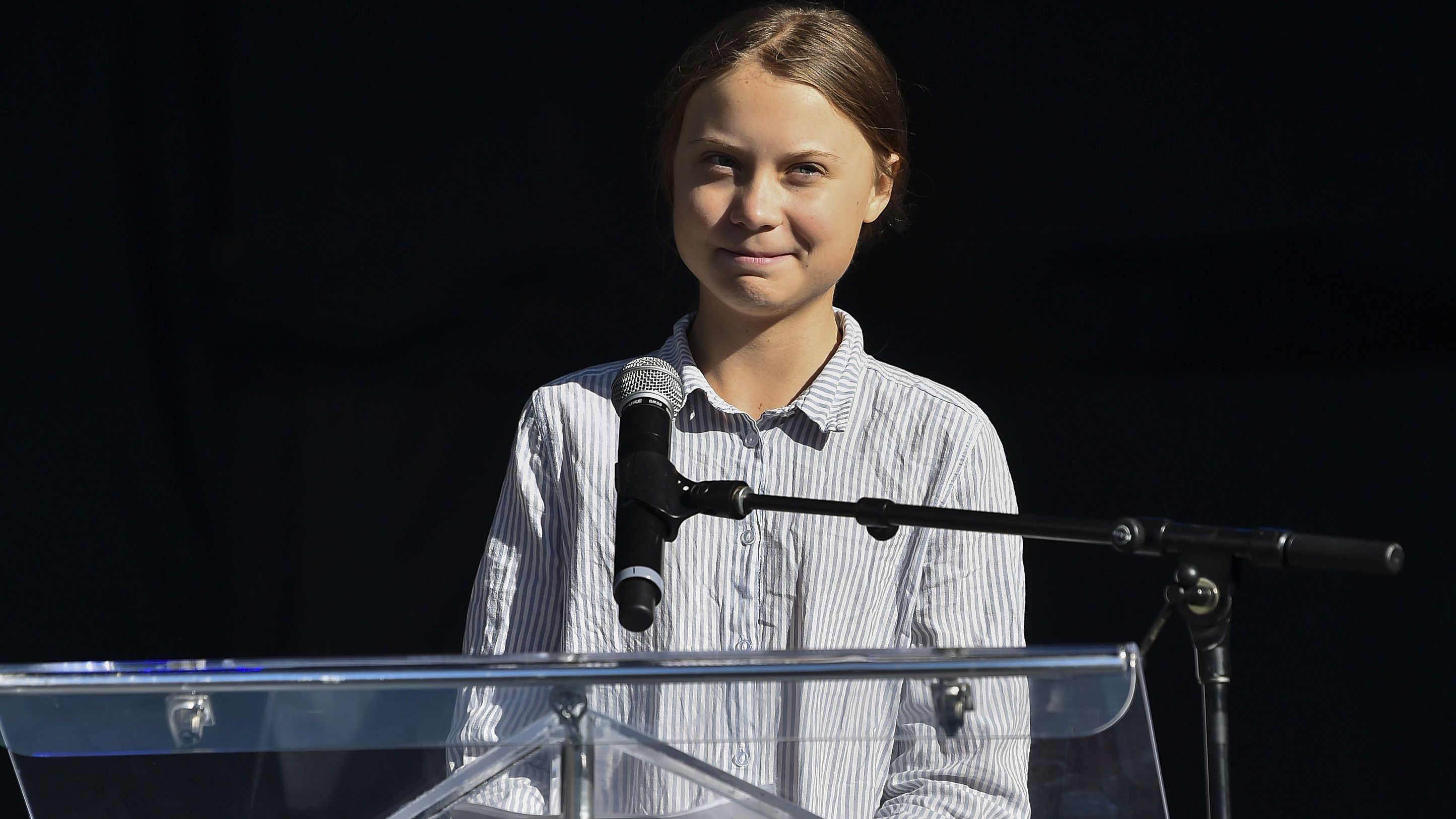 Іспанці запропонували Греті Тунберг дістатися на віслюку з Лісабона в Мадрид